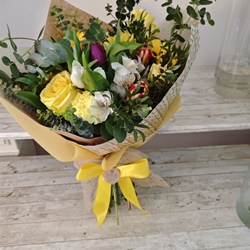 Amanecer en primavera - Imagen 1