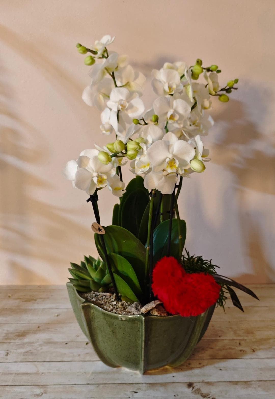 AMPOR PURO - Imagen 1