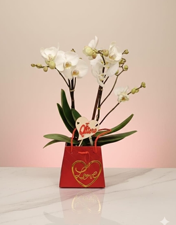 Beluso love - Imagen 1