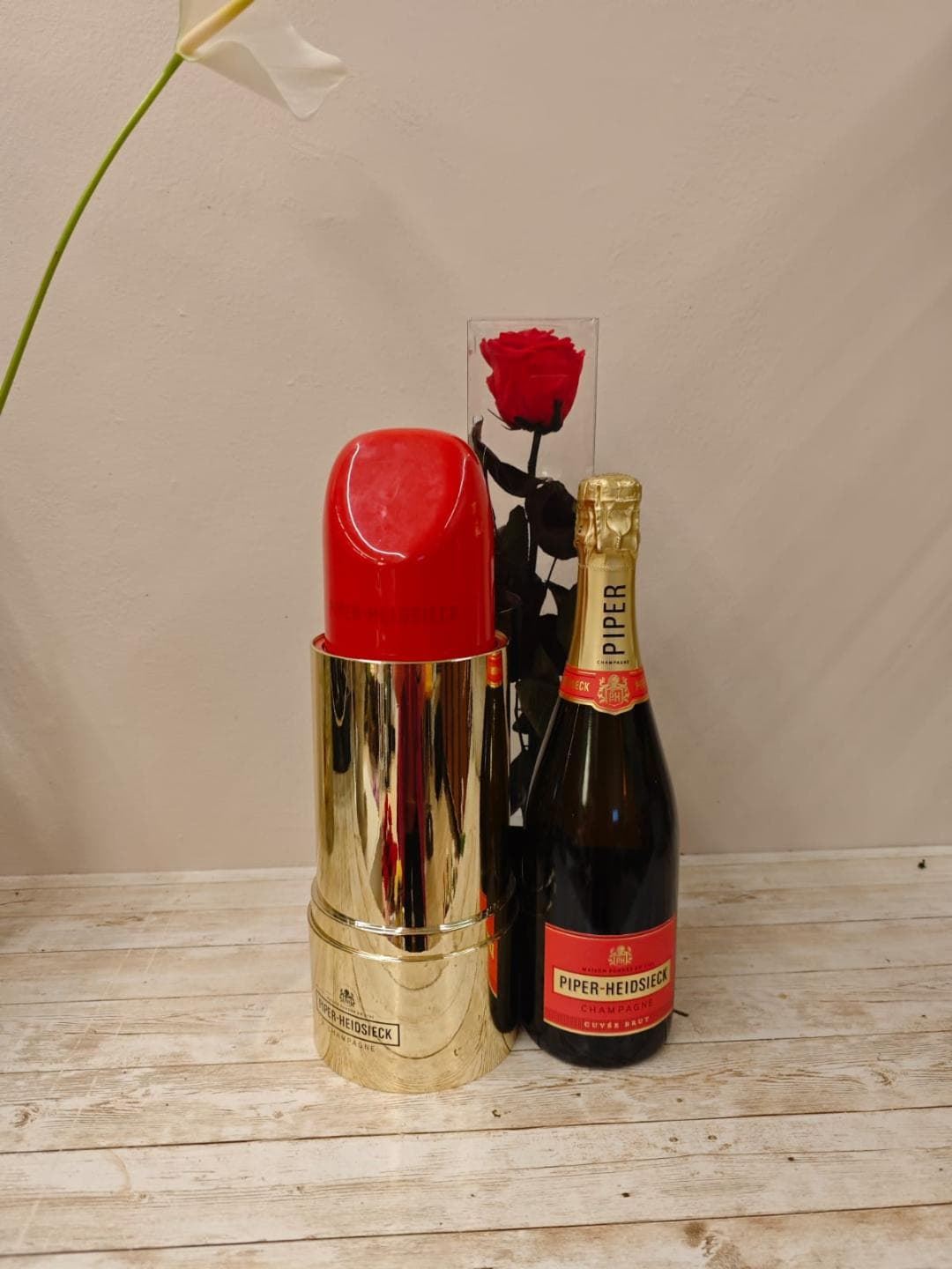 champi pack - Imagen 1