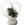 Corazón con planta de aire - Imagen 1