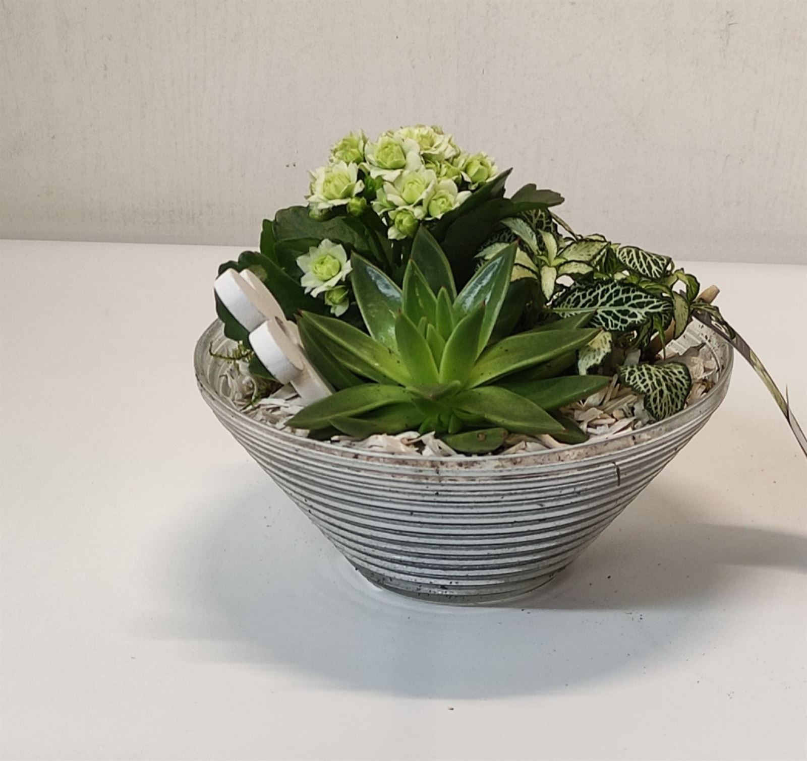 Cristaplan centrito de 3 plantas EN COLORES BLACOS O ROSAS - Imagen 1