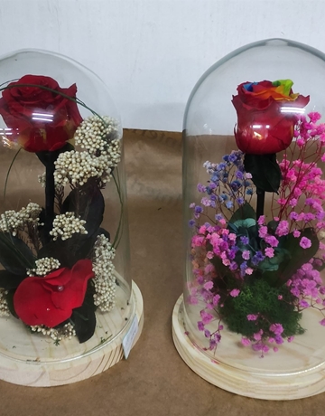 Cúpula iris - Imagen 1