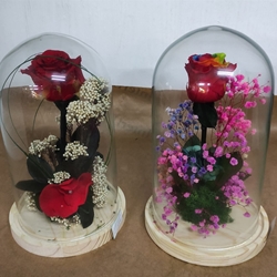 Cúpula one - Imagen 1