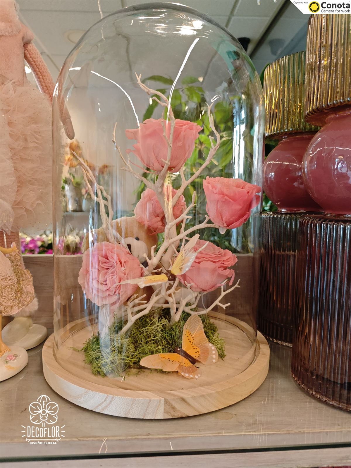 Cupula rosa - Imagen 1