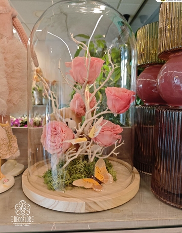 Cupula rosa - Imagen 1