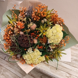 Dryorange - Imagen 1