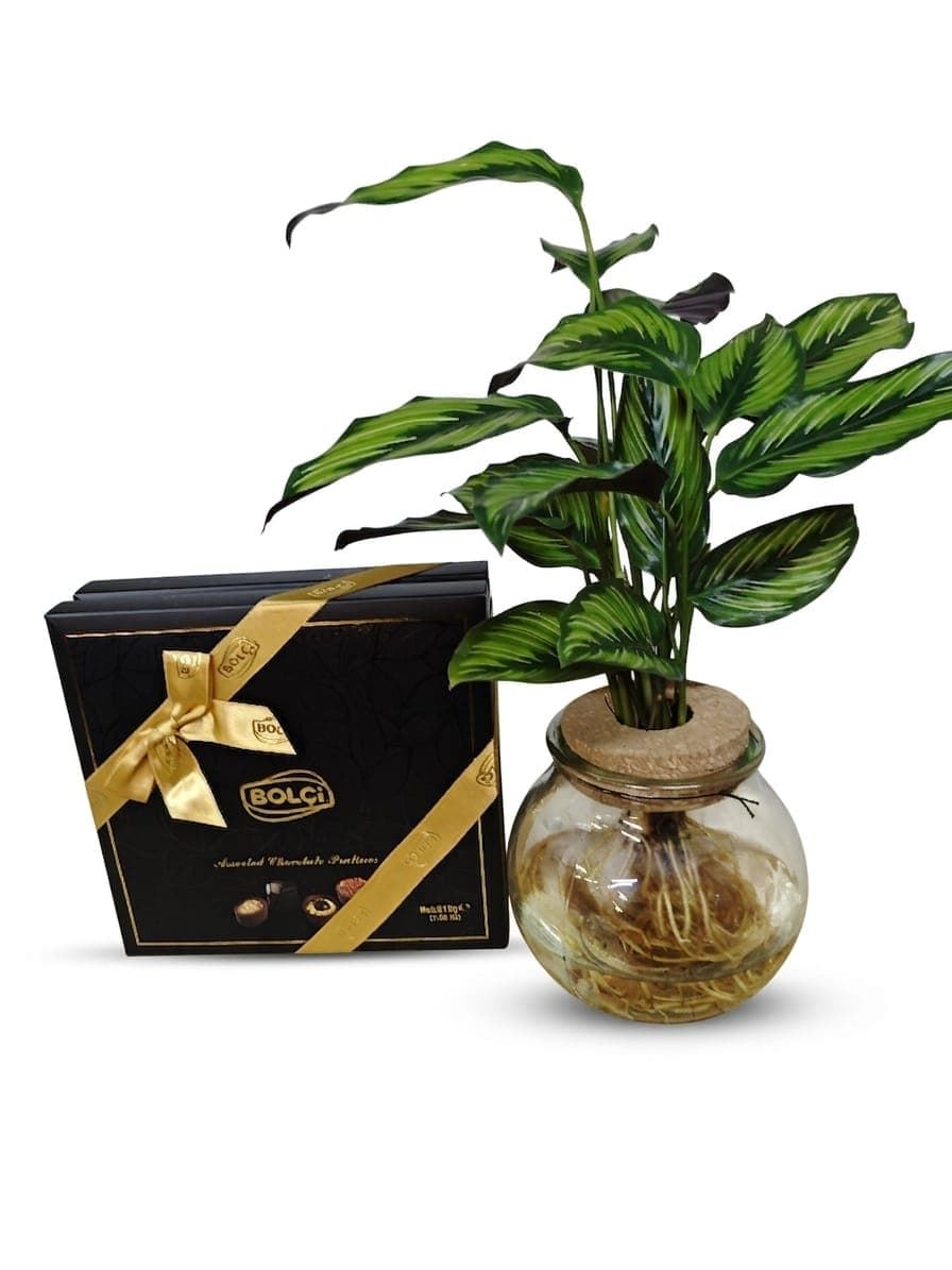 Dulce natuur - Imagen 1