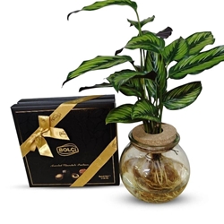 Dulce natuur - Imagen 1