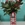 Florero para tus flores con cuadro escoces papa noel colgado con figura - Imagen 2