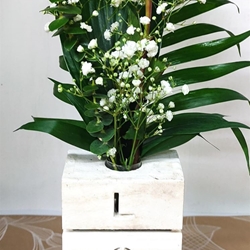 Love for ever - Imagen 1