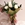 Lovewhite - Imagen 1