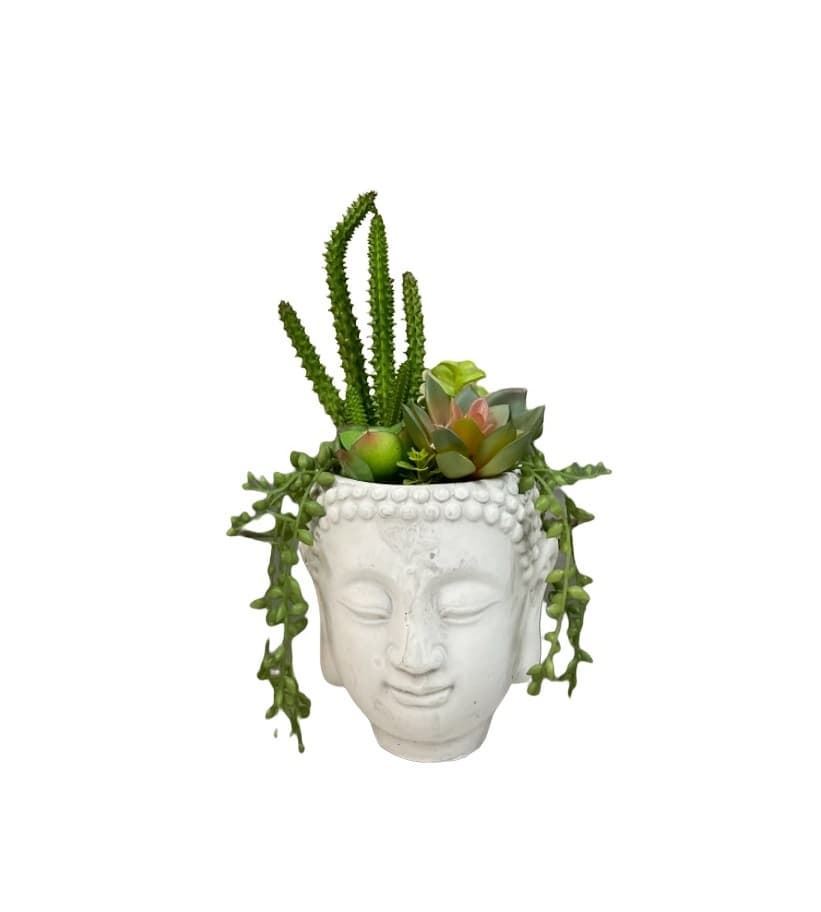 Maceta cabeza con planta - Imagen 1