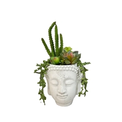 Maceta cabeza con planta - Imagen 1