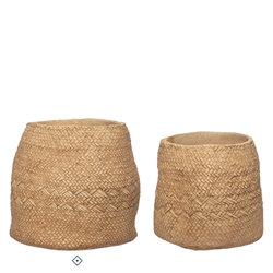 maceta cemices - Imagen 1