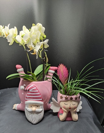 Maceta hadita rosa - Imagen 2