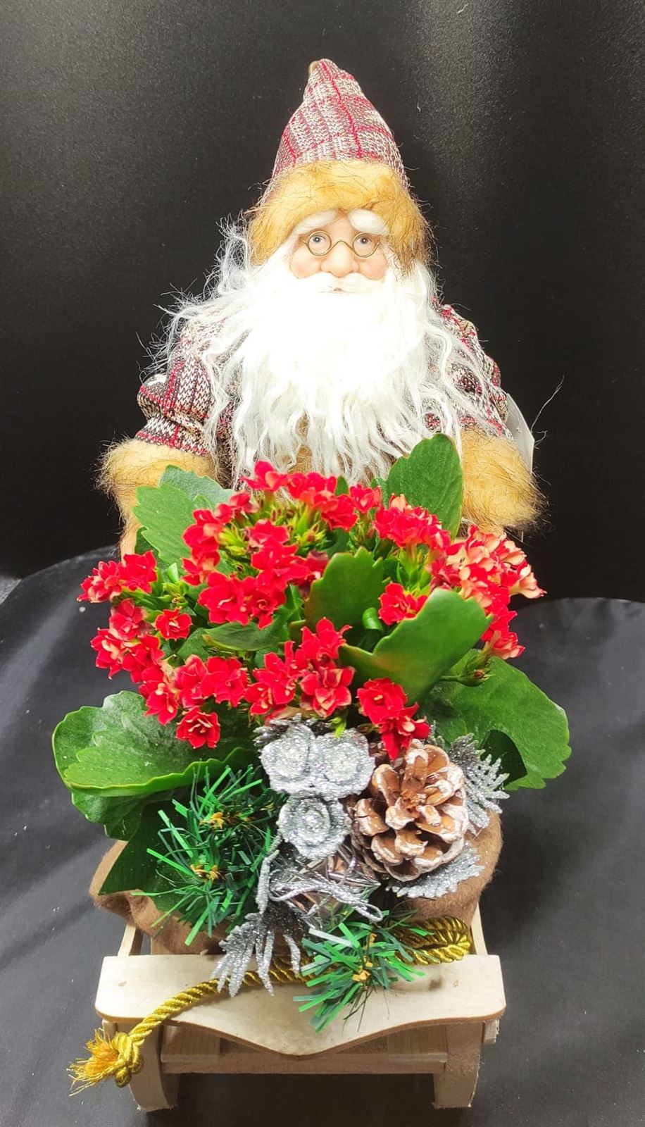 Papá Noel con carro de plantas - Imagen 2