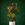 Planta Anthurium - Imagen 1