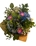 ramo decoblue - Imagen 1