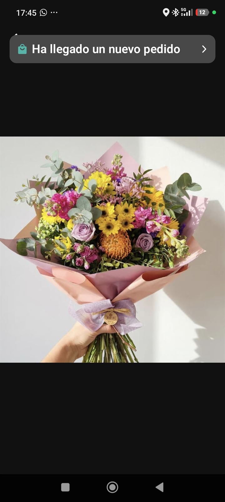 Ramo explosion - Imagen 1