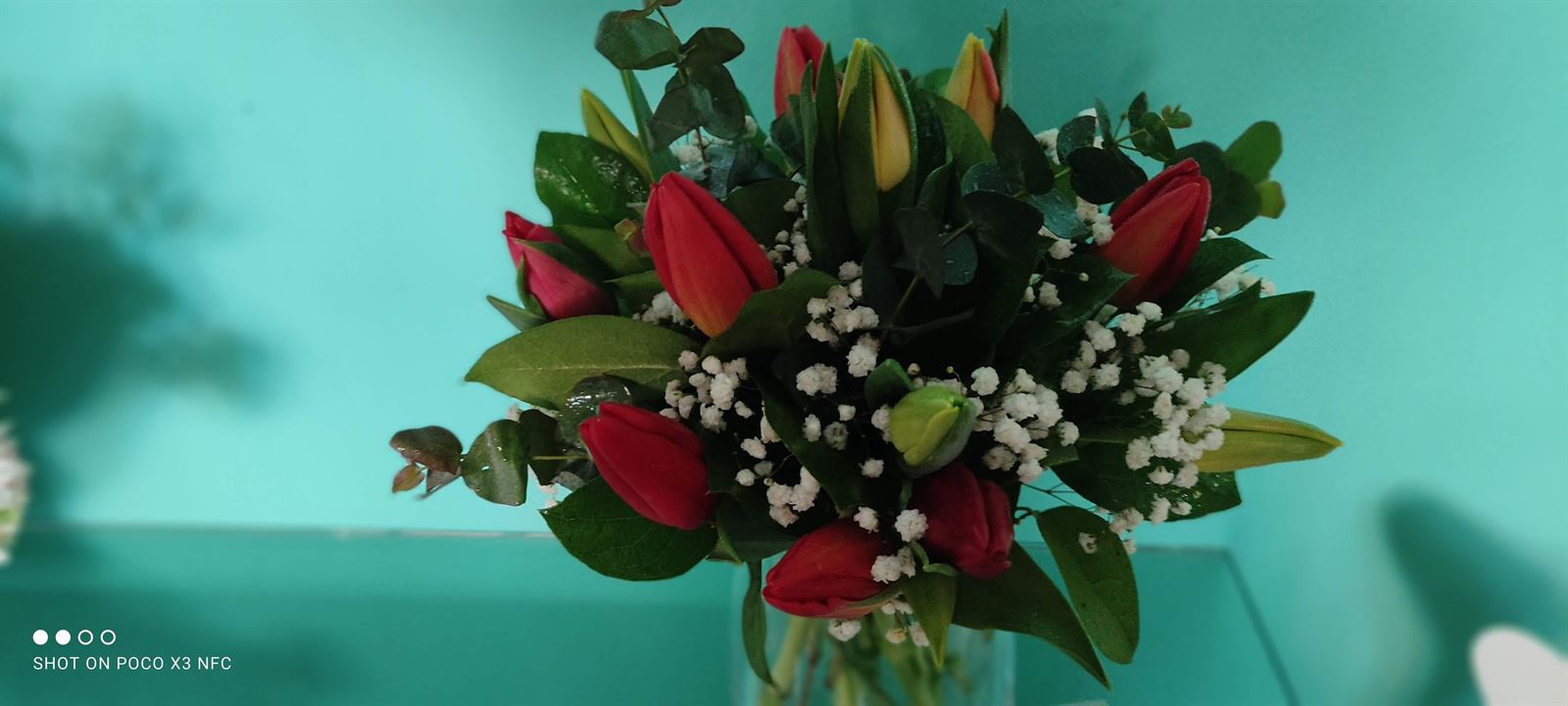 Ramo marina - Imagen 1