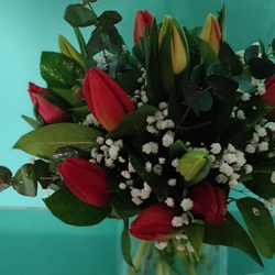 Ramo marina - Imagen 1