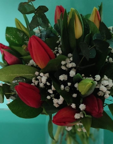 Ramo marina - Imagen 1