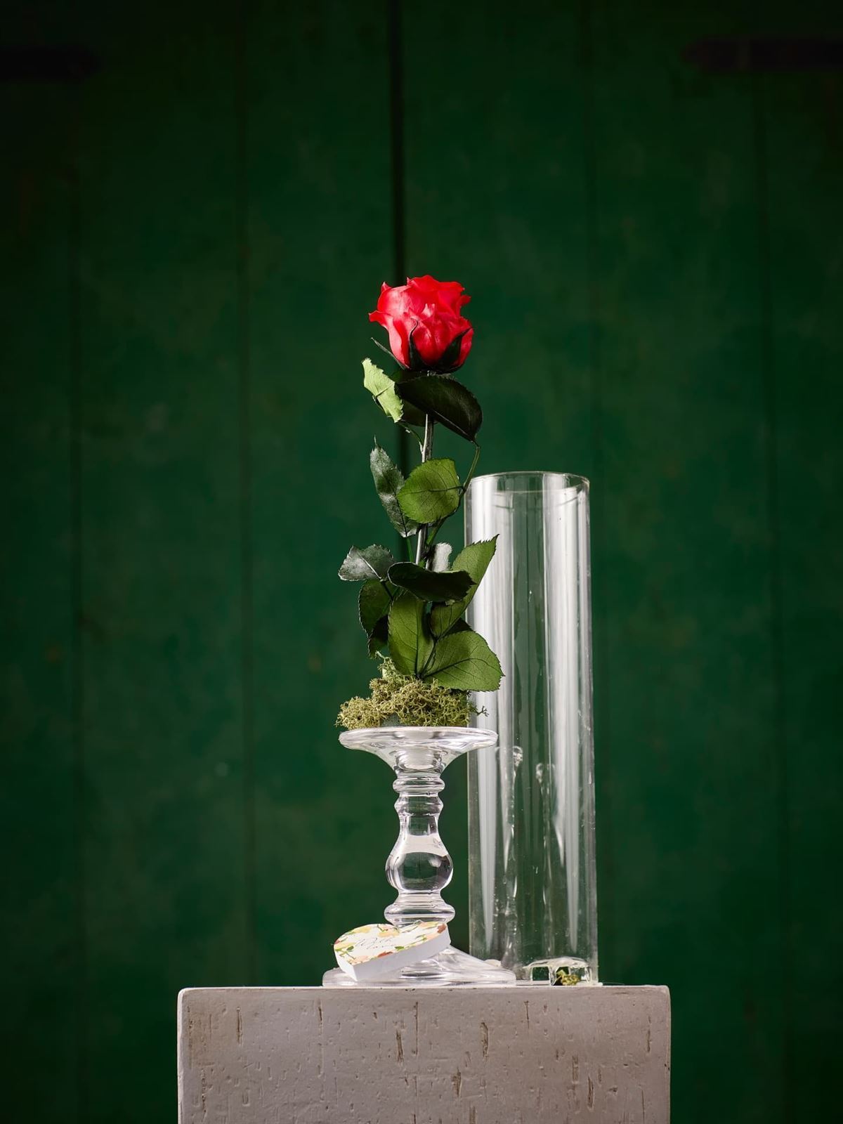 Rosa Roja Eterna Tallo en base de cristal - Imagen 1