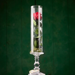Rosa Roja Eterna Tallo en base de cristal - Imagen 2